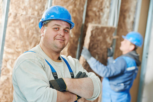 Best Residential Insulation in Chesapeake Beach, MD